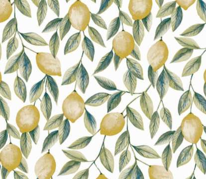 Image #0